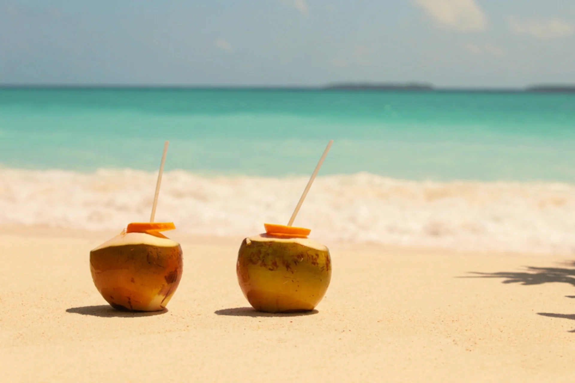 Dos aguas de coco en una playa caribeña.